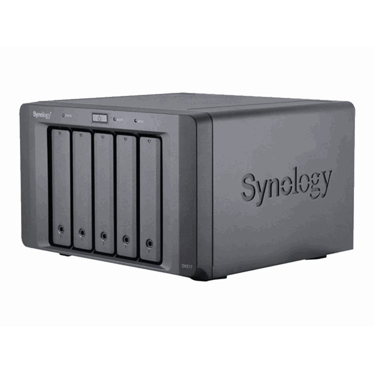 SYNOLOGY DX517