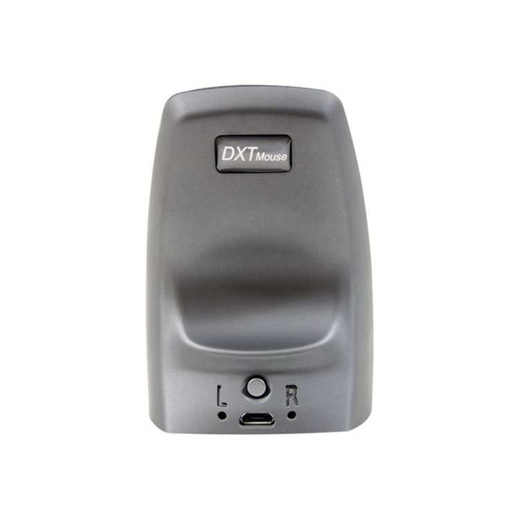 DXT precision mouse Wireless