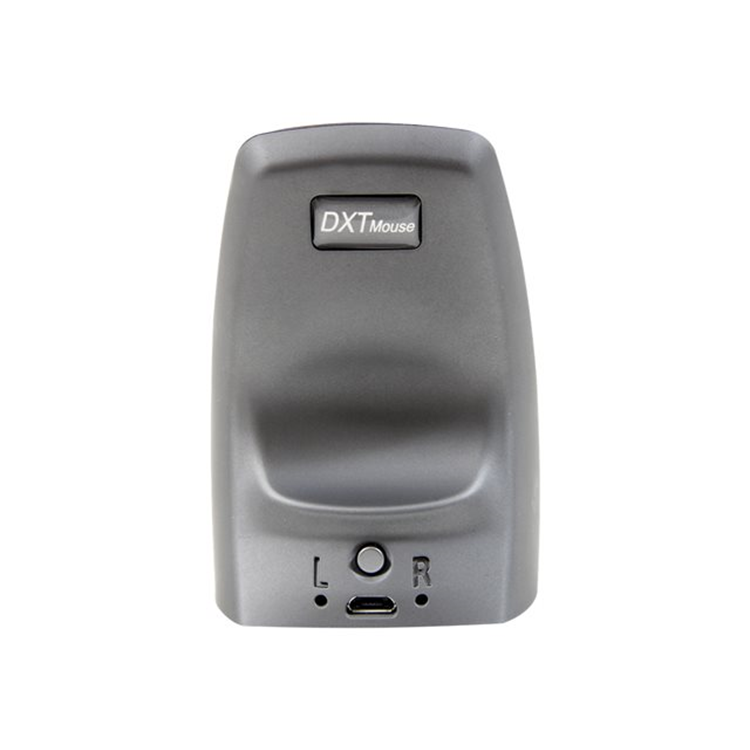 DXT precision mouse Wireless