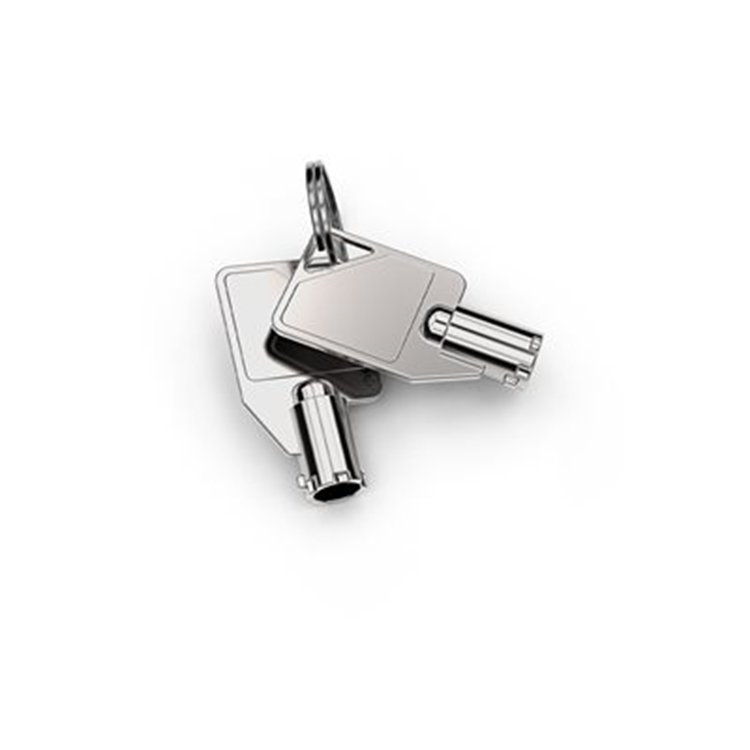 MASTER KEY FOR KD ENCLOSURE 50