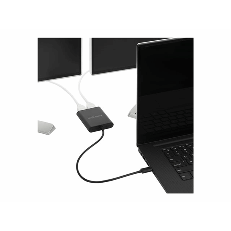 USB-C to Dual DisplayPort 1.2 Video