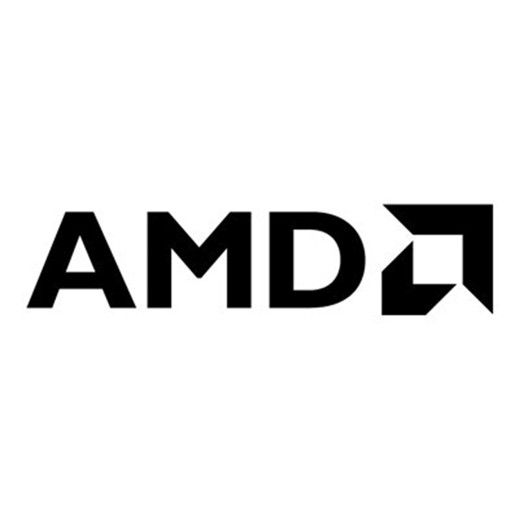 AMD RdnP W7600 8GB 4DP GFX