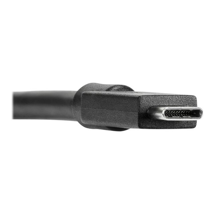 1.8m USB-C To USB-C DOCK Cbl Screw Mount 1.8m USB-C To USB-C DOCK Cbl Screw Mount