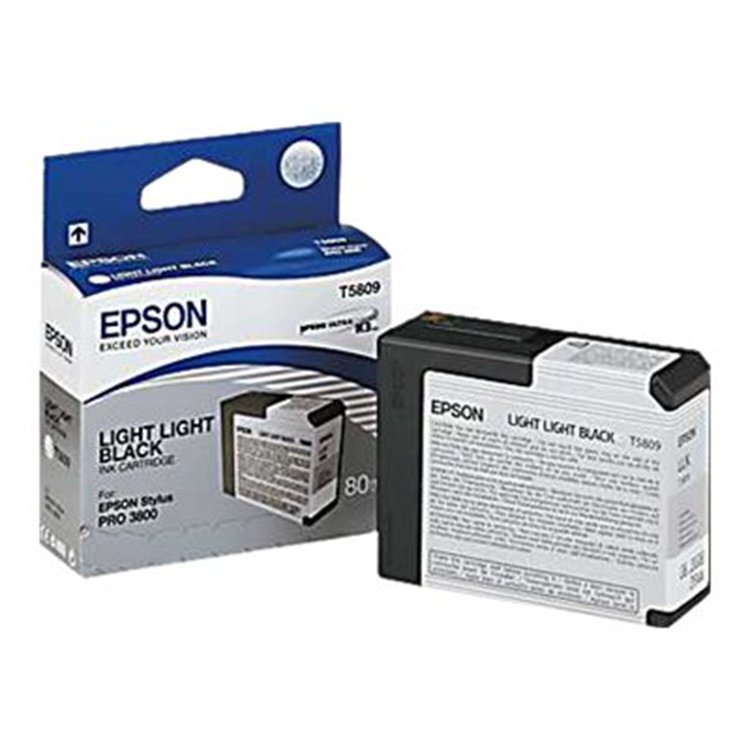 INK CARTRIDGE T580900 LIGHT LIGHT BLACK INK CARTRIDGE T580900 LIGHT LIGHT BLACK