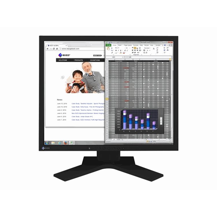 Flexscan/19 Inch/1280 x 1024/Black/IPS/14ms/ 250cd/m2/1000:1/LED Backlight