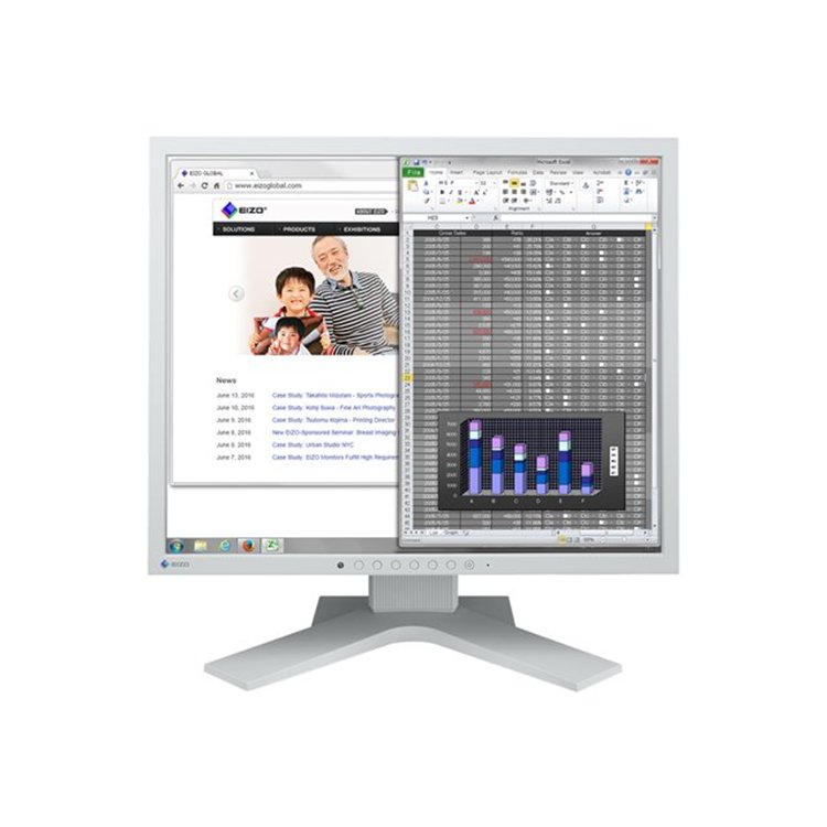 Flexscan/19 Inch/1280 x 1024/Grey/IPS/ 14ms/ 250cd/m2/1000:1/LED Backlight
