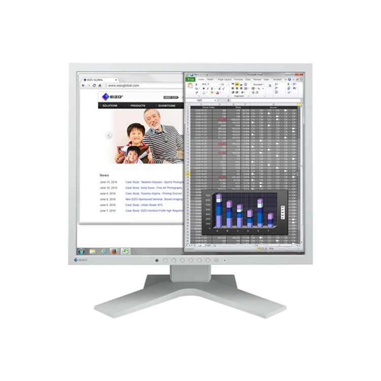 Flexscan/19 Inch/1280 x 1024/Grey/IPS/ 14ms/ 250cd/m2/1000:1/LED Backlight