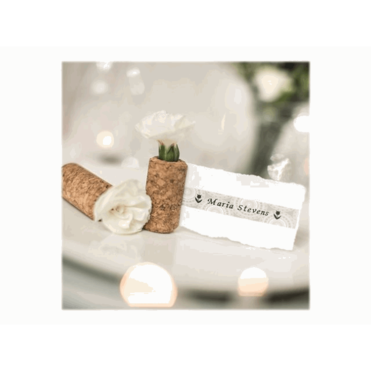 TZEMPSL31 12MM BLACK ON SILVER LACE TAPE