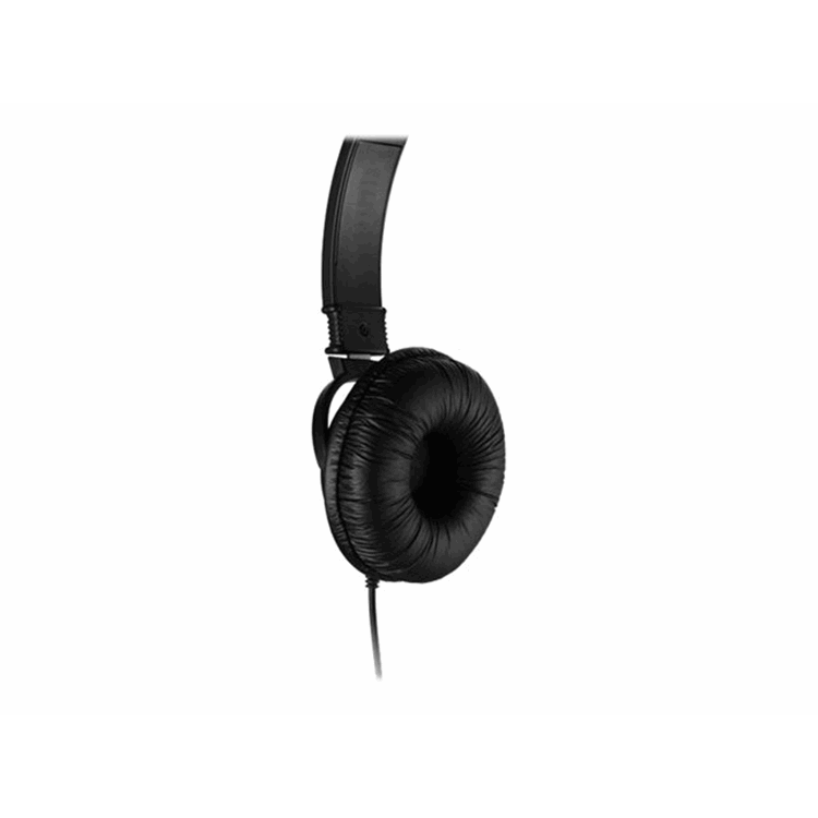 HiFi Headphones with
