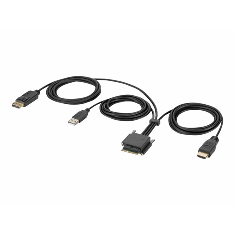 Modular HDMI and DP Dual Head Host Cable