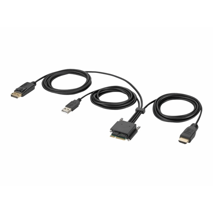Modular HDMI and DP Dual Head Host Cable