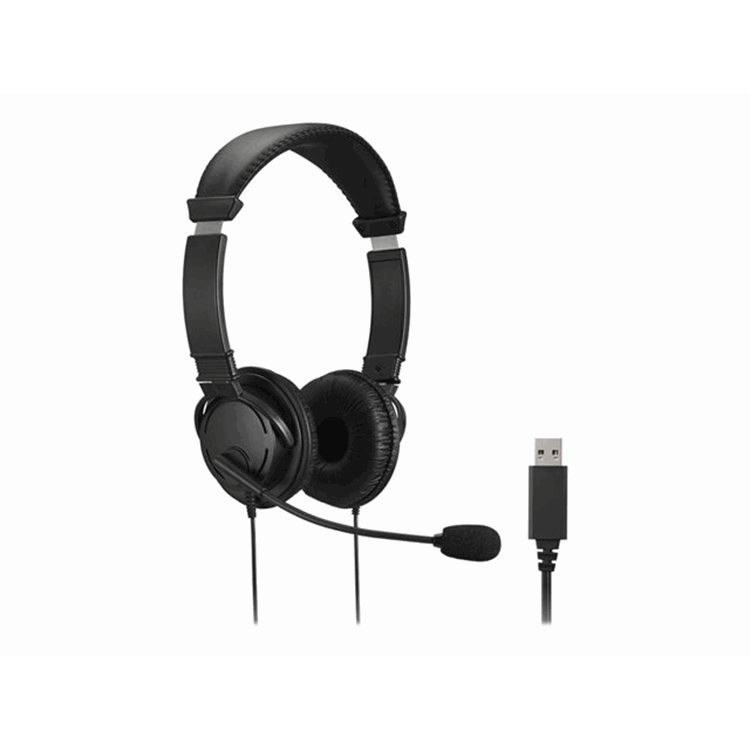 USB-A HiFi Headphone