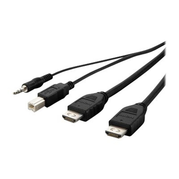 TAA Dual-Head DVI-D to HDMI High Retenti TAA Dual-Head DVI-D to HDMI High Retenti