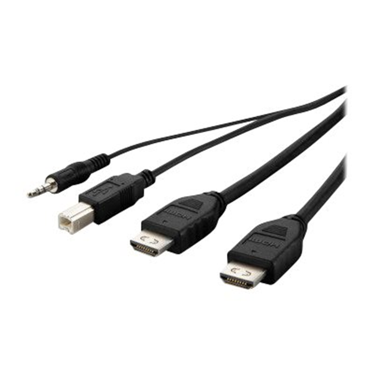 TAA Dual-Head DVI-D to HDMI High Retenti