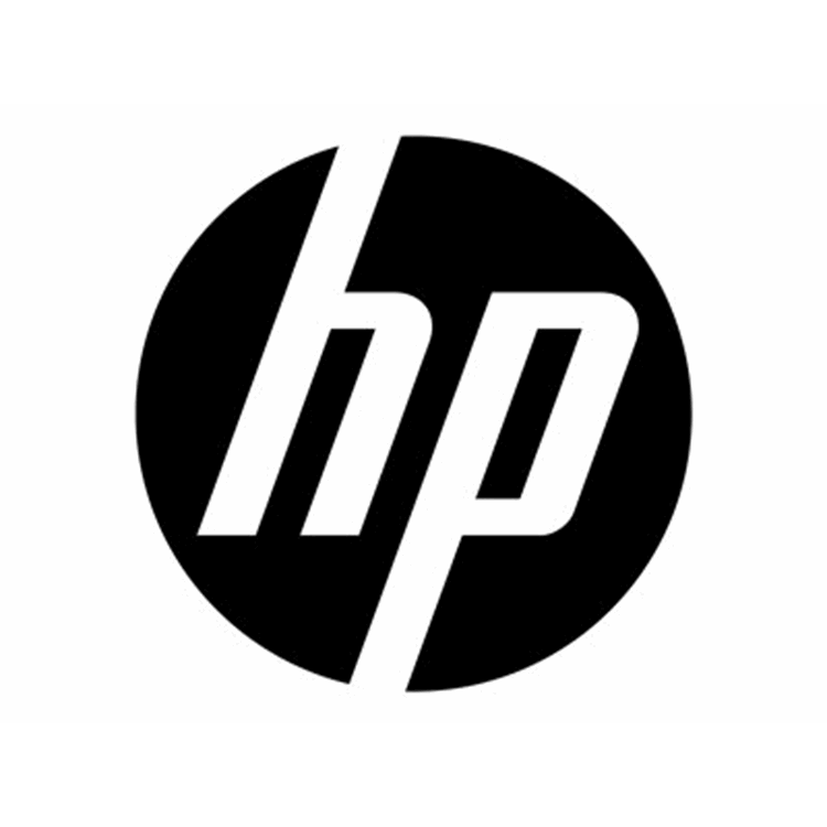 HP DM v4+ VESA Sleeve