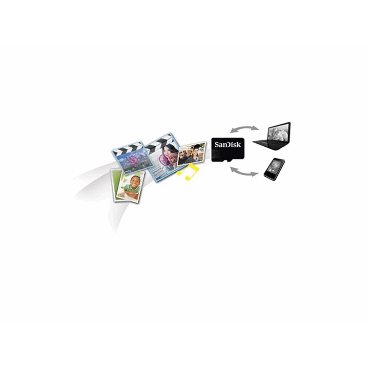 SanDisk microSDHC 32GB Card Only
