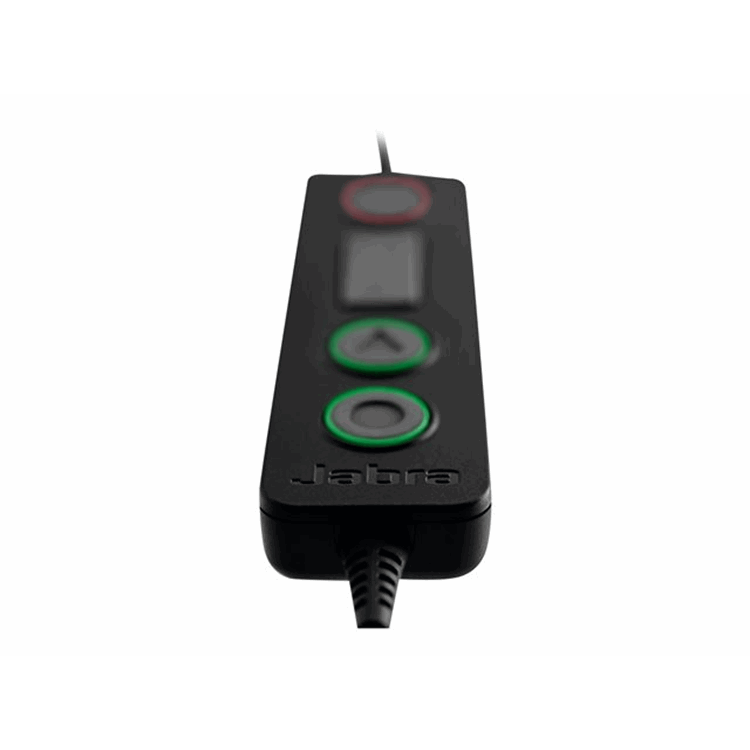 Jabra BIZ 2300 USB Duo for MS