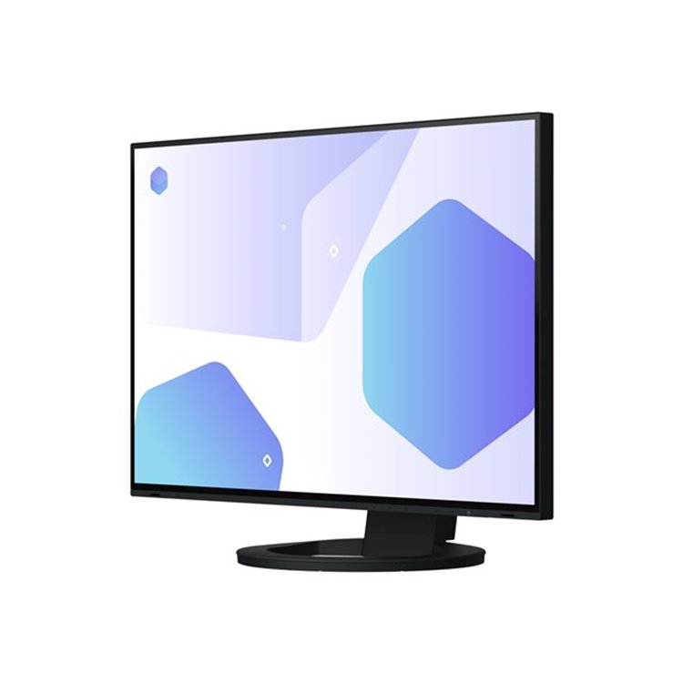 EIZO 24inch IPS LCD 1920x1200