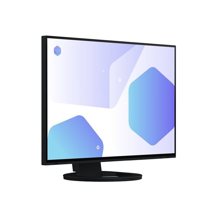 EIZO 24inch IPS LCD 1920x1200