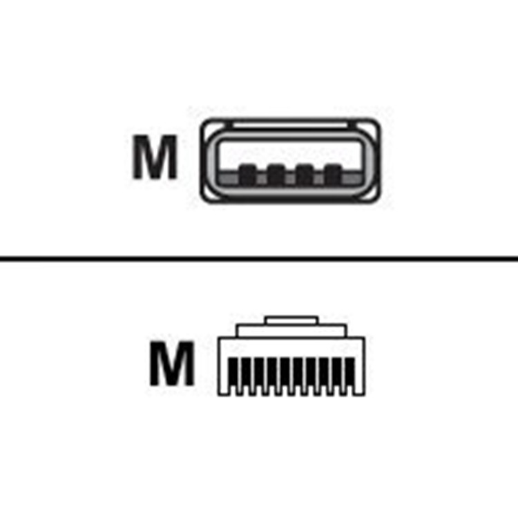 CABLE SHIELD USB SER A 7FT STRGT BC 1.2