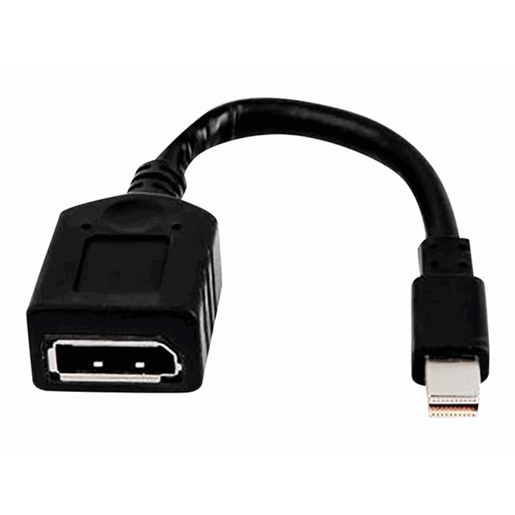 HP Bulk 12 miniDP-to-DP Adapter Cables