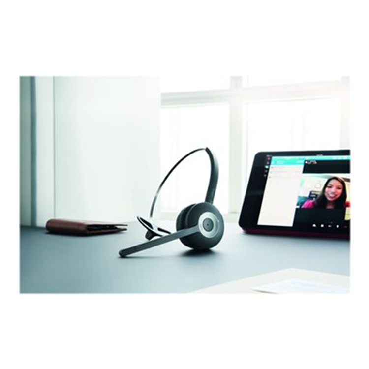 PRO 935 Mono for PC and Mobile MS optmzd