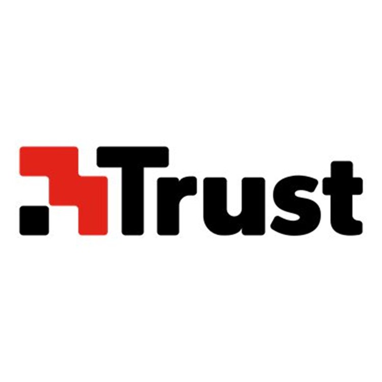 SYMANTEC Norton Small Business Security