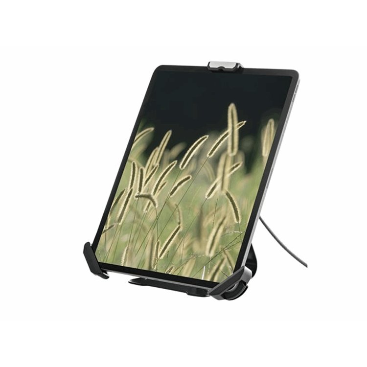 Secure Tablet Stand/Mount - 7.9-13 inch
