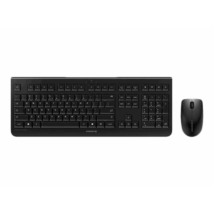 CHERRY DW 3000 (EU)