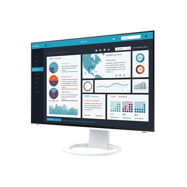 EIZO EV2495-WT 24inch IPS LCD