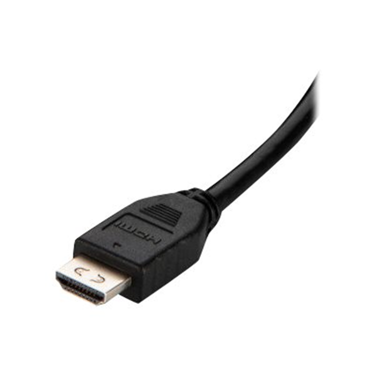 TAA HDMI to DVI-DL Cable 3m
