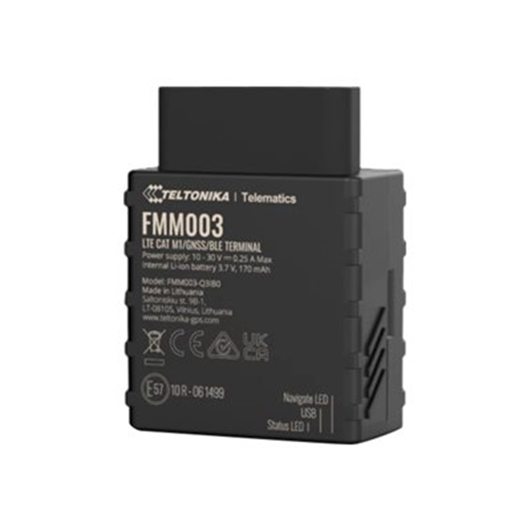 TELTONIKA TELEMATICS FMM03