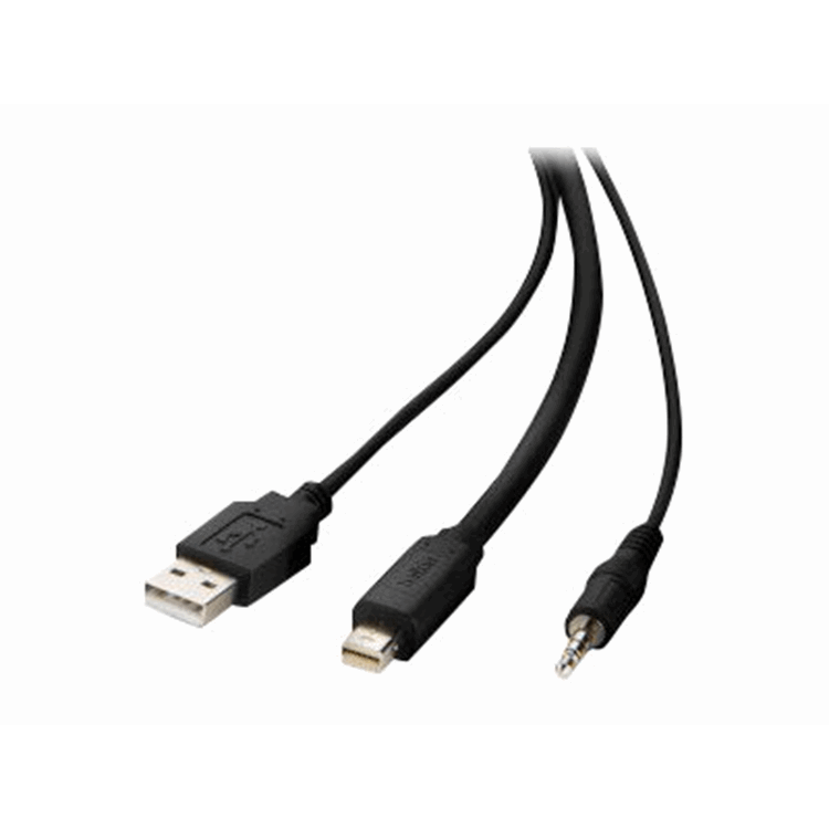 TAA USB-C to DP KVM Active Combo Cable 1