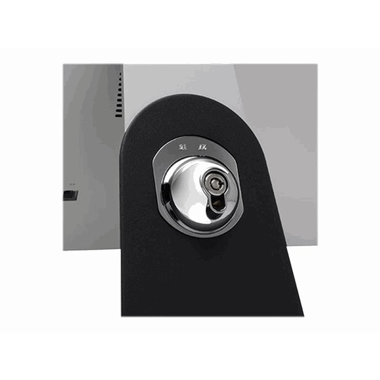 SafeDome Mounted Lock iMac