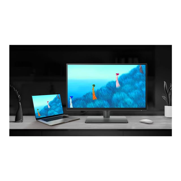 PD2506Q 25IN 2K QHD USB-C HDR KVM