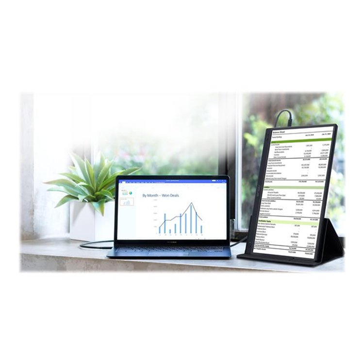 ASUS ZenScreen MB166C 15.6inch IPS FHD
