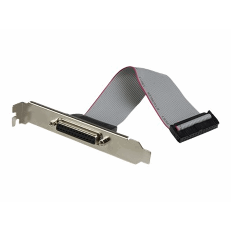 2 Port PCI Express PCIe Parallel Adapter