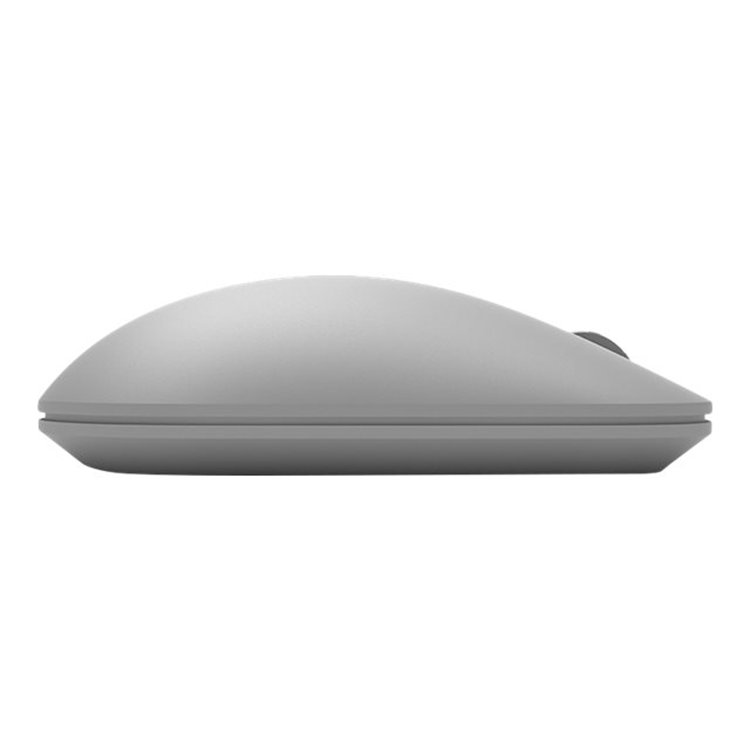 Surface Mouse Demo XZ/NL/FR/DE Gray