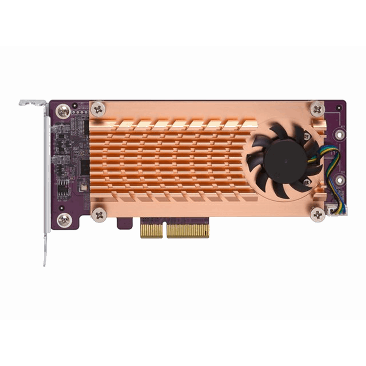 Dual M.2 22110/2280 SATA SSD