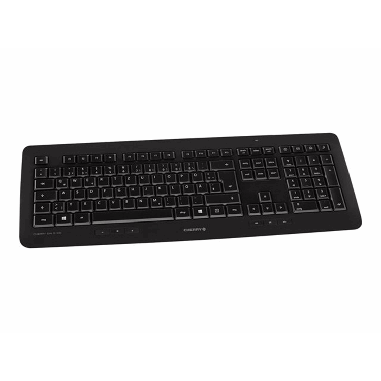 CHERRY DW 5100 Keyboard and Mouse Set