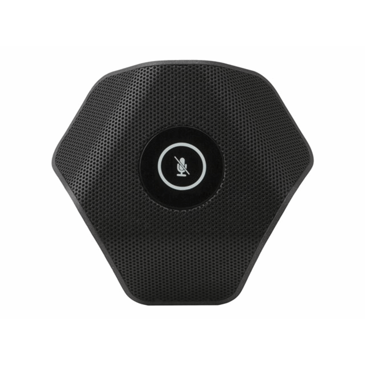 Extension microphone for Crestron Flex