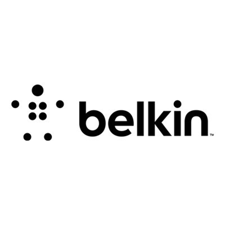 Belkin 4-Port Single Head KVM Switch