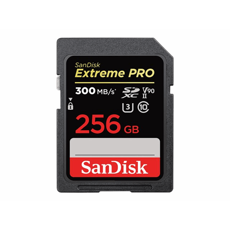 Extreme PRO 256GB SDXC Memory Card up to