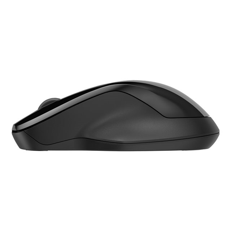 HP 250 Dual Wireless Mouse