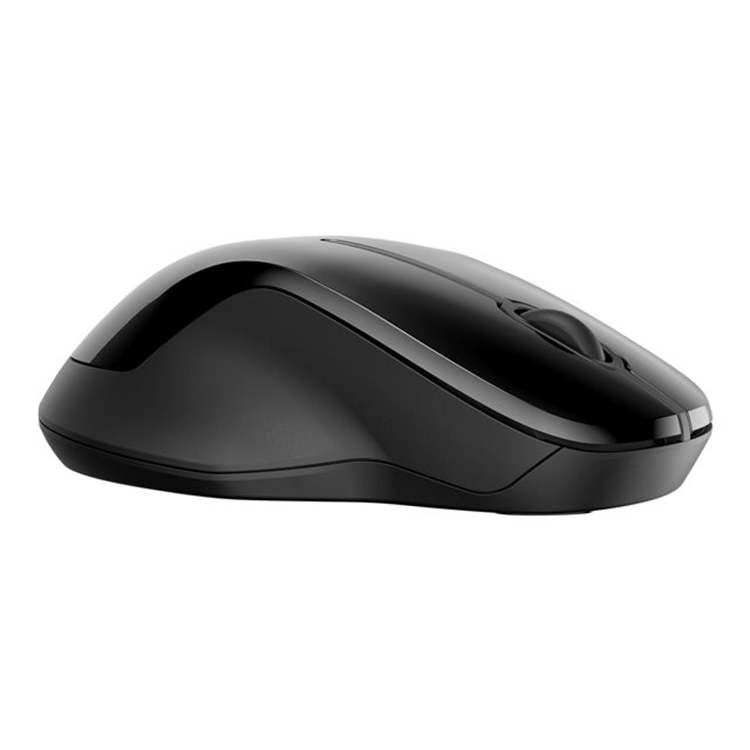 HP 250 Dual Wireless Mouse