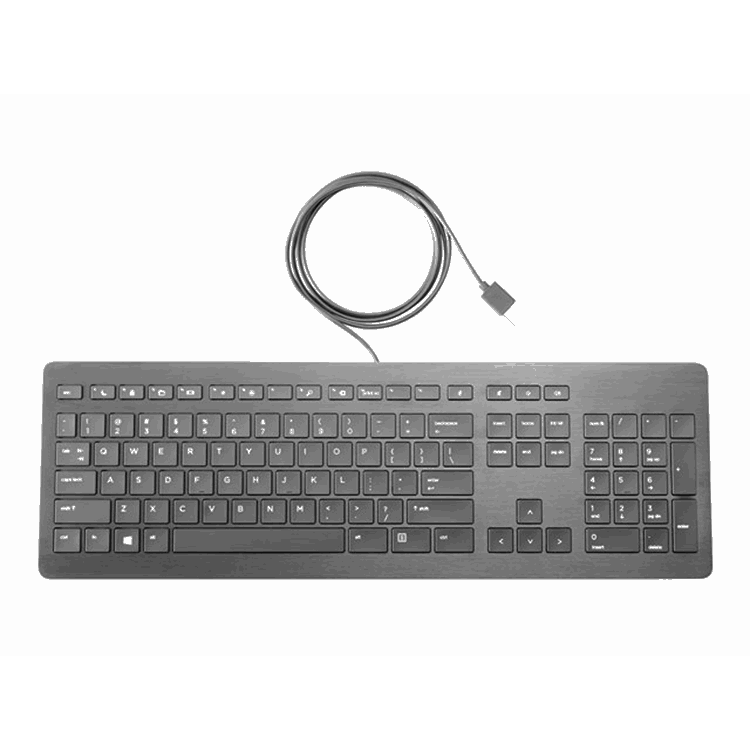 HP USB Premium Keyboard SWISS