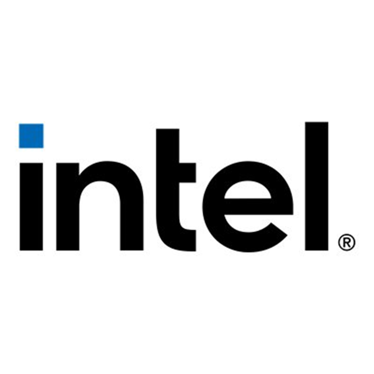 INTEL E810-XXV 25GBE SFP28 DP PCIE LP