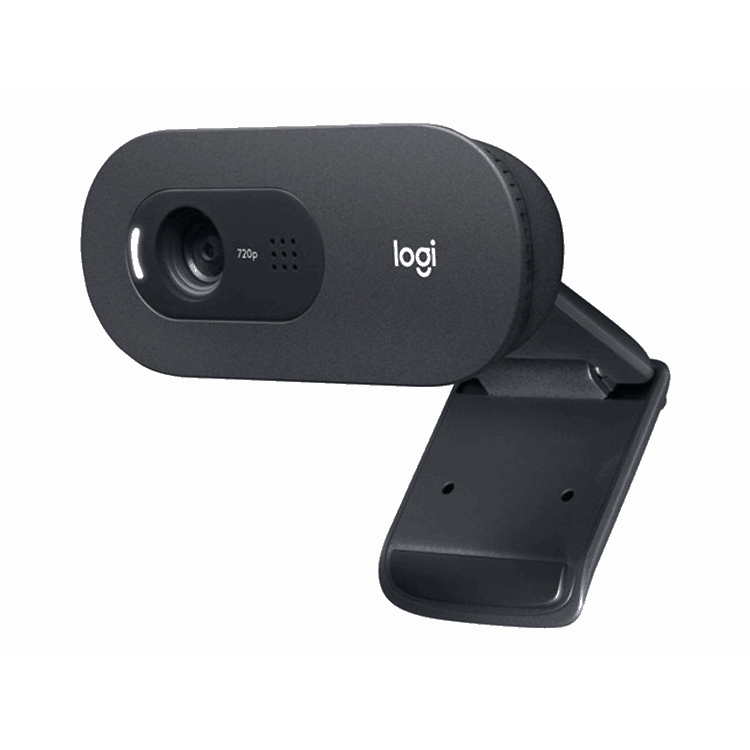 Logitech C505 HD Webcam - BLACK - EMEA