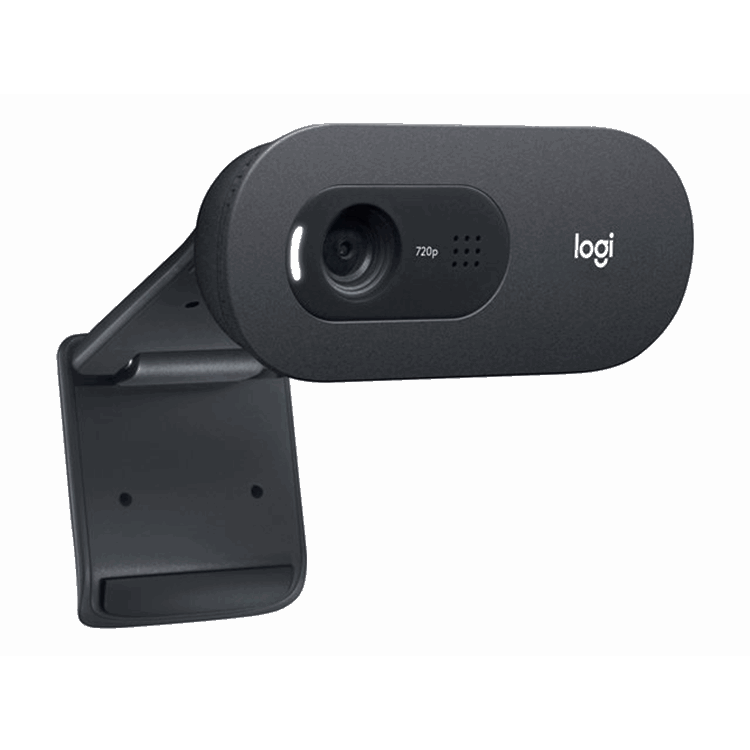 Logitech C505 HD Webcam - BLACK - EMEA