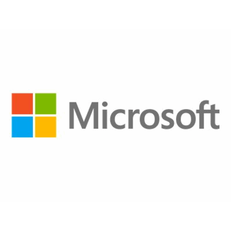 Microsoft Win Remote Desktop Services CAL License & Software Assurance Open Value Level D 1 Year Acq